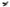 Photo - Unmounted