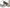 Photo - Unmounted