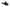 User 2