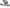 Photo - Unmounted