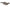 Photo - Unmounted