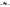 Photo - Unmounted