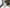 Photo - Unmounted