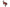 Photo - Unmounted