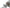 Photo - Unmounted
