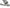 Photo - Unmounted
