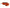 Photo - Unmounted
